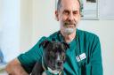 Rescue pup Eric with Giuseppe Palatucci, the vet who saved his life.