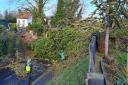 Trees down on Station Road, Melbourn earlier this morning.