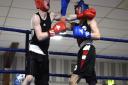 March ABC Boxing Owen Davis v Daniel Best. PHOTO: Ian Carter