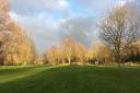 Sunshine and winter trees Riverside Park St Neots By Mary Hall