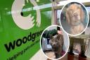 Cats and dogs are some of the pets that Woodgreen Animal Centre, home to Channel 4's The Dog House, looks after.