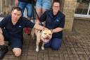 Thor walked out of the RSPCA Block Fen doors for the final time and said his goodbyes to animal care assistant Heidi, who was his rock throughout his stay.