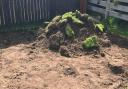 Peter Carmichael says his garden has been left in a mess by a Wisbech-based building company.