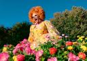Ginger Johnson was a Drag Race winner (Kate Bones)