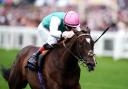 Blue Bolt ridden by Colin Keane on their way to winning the Duke Of Cambridge Stakes on day two of Royal Ascot at Ascot Racecourse, Berkshire. Picture date: Wednesday June 17, 2026.