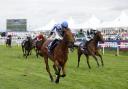 Enceldaus (right) had to give best to stablemate Highwayman (Richard Sellers/PA)