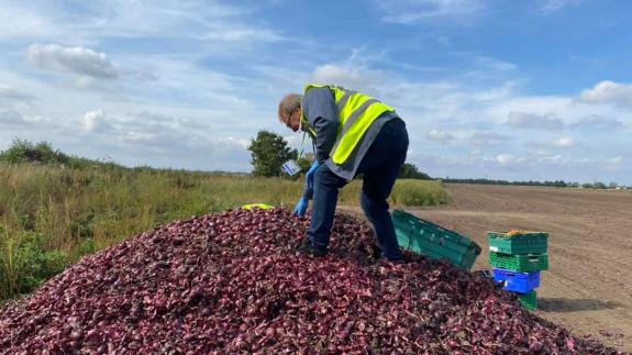 Cambs Times: Farmers have given up their surplus of fruit and vegetable gluts, passing them on to the community fridge. Cambs Times: Farmers have given up their surplus of fruit and vegetable gluts, passing them on to the community fridge.