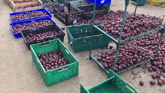 Cambs Times: The FACT volunteers filled a bus full with the crates of onions they'd picked for the community fridge. Cambs Times: The FACT volunteers filled a bus full with the crates of onions they'd picked for the community fridge.