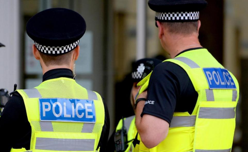 Wimblington: German Shepherd bit person in Hook Road - Vimarsana News