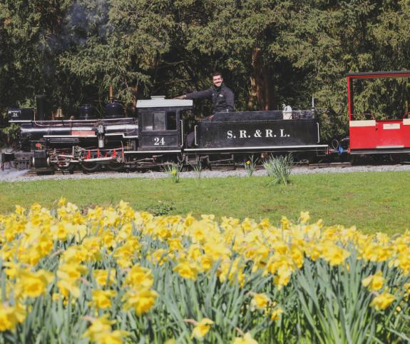 Cambs Times: Passengers can take a train ride through the woodland Cambs Times: Passengers can take a train ride through the woodland