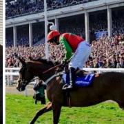 Turners of Soham managing director Paul Day is to sponsor a race at Cheltenham Festival