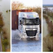 From last winter at Welney when drivers decide whether to risk crossing the flooded Washes or to take a diversion.
