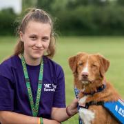 15-year-old Emily Rice, from Gorefield, and her Nova Scotia Duck Tolling Retriever, Holly-Mae (pictured) was one of 40 youngsters who attended the Young Kennel Club summer camp at Rutland Showground.