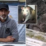 A Wisbech couple currently living in a tent believe one of the reasons why they've been unable to get housing is because they have a pet rat. Simon Crowson, of 50 Backpacks, has been helping them throughout the cold weather.