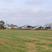 The field at Stretham where Larkfleet want to build 64 houses.