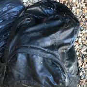 The RSPCA has launched an investigation after a dead cat was found inside this black Berghaus rucksack which was weighed down with bricks