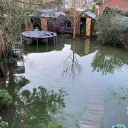 Rob Stevens\' garden flooded in Butt Avenue in the Christmas 2020 floods.