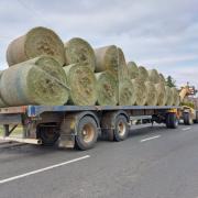 Police stopped the vehicle in Guyhirn near Wisbech