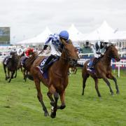 Enceldaus (right) had to give best to stablemate Highwayman (Richard Sellers/PA)