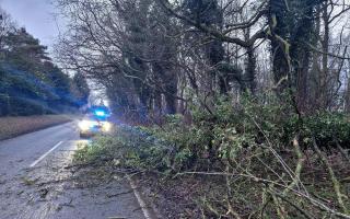 Police received more than 50 calls reporting fallen trees blocking roads across Cambridgeshire yesterday.